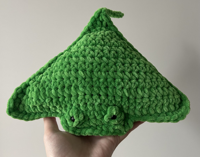 Hellgrüner kleiner Rochen