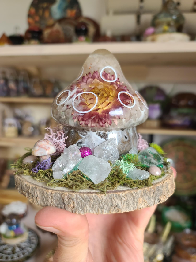 Maison champignon 🌿 L'immortelle 🌸