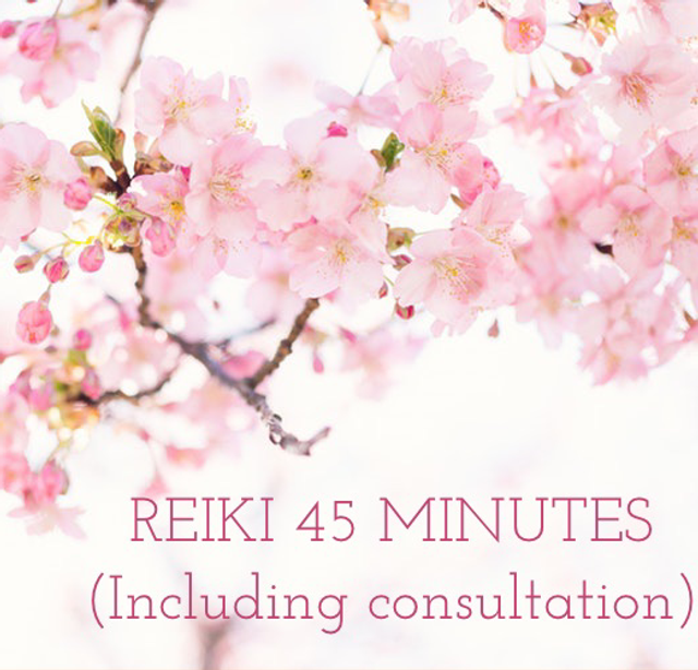 Reiki Healing