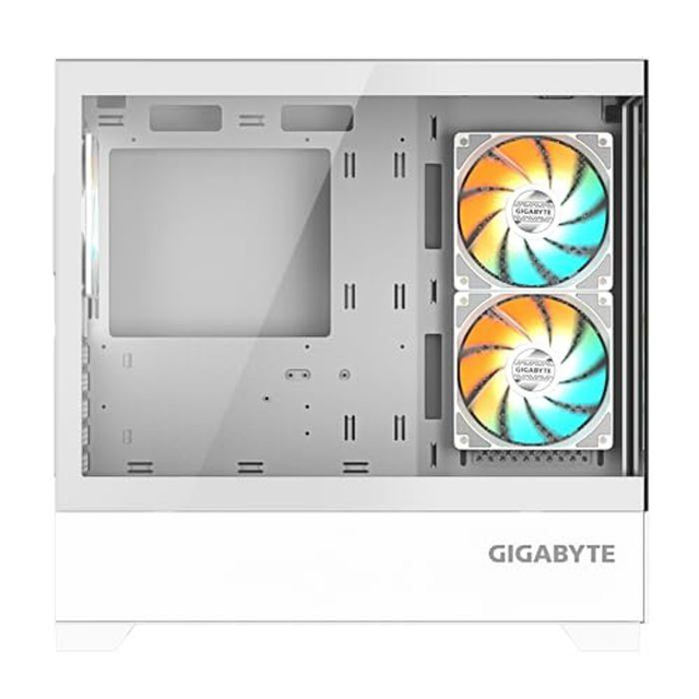 01.1.0009 Entry Level Gigabyte C201 Panoramic