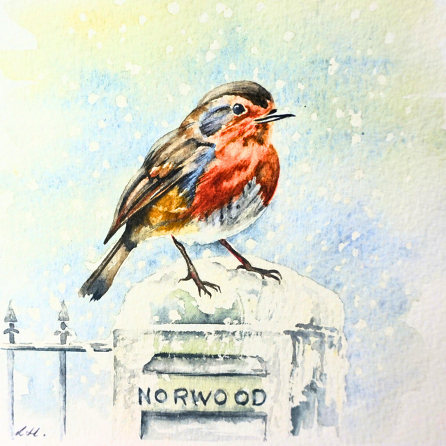 Robin Christmas Cards - Pack of 5