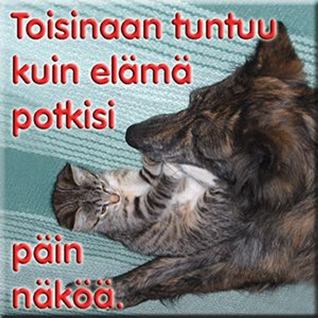 Magneetti "Toisinaan tuntuu"