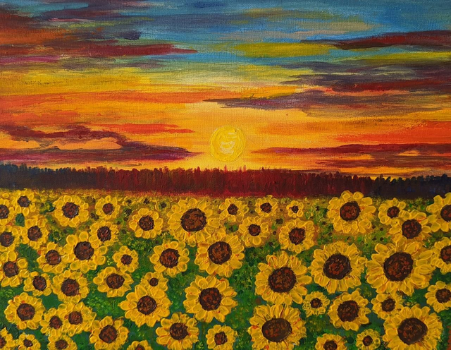 🔴 Sunflower fields 