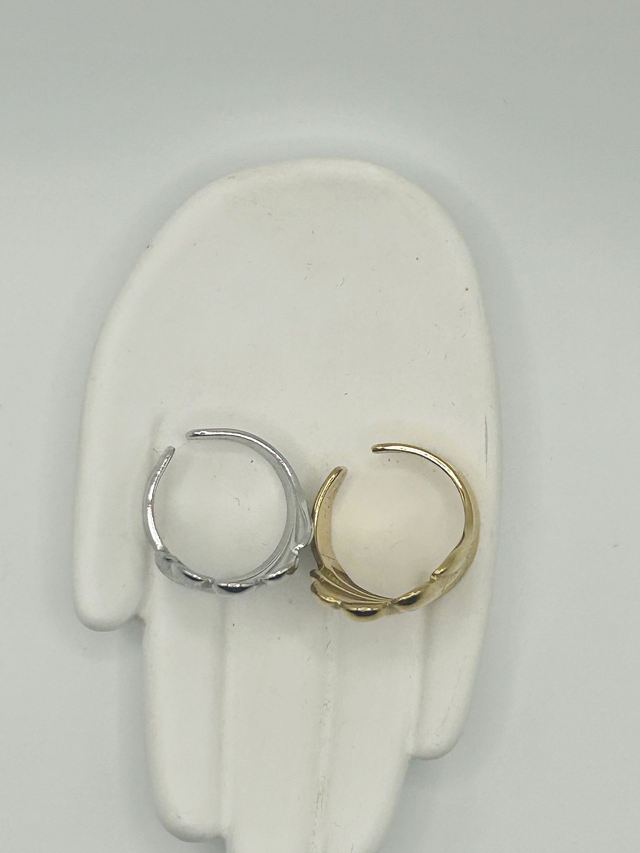 Stainless Steel Ring (SSR119J)