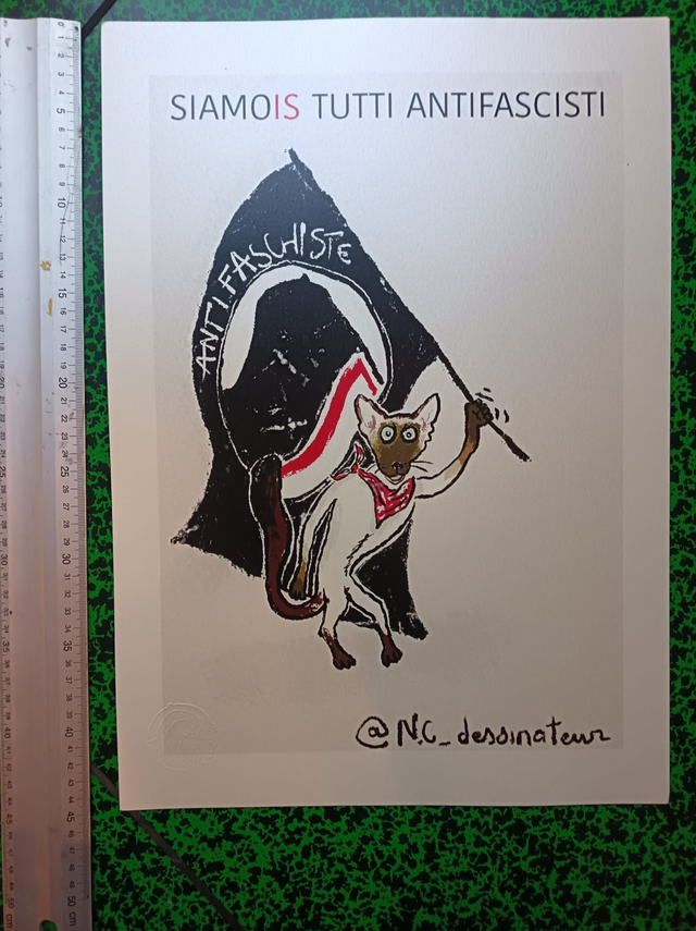 Tirage - A3 - Siamois Tutti Antifascisti