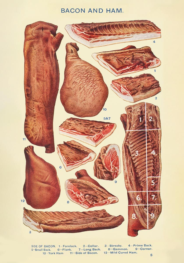 Bacon's Ham from Mrs. Beeton's book of Household Management