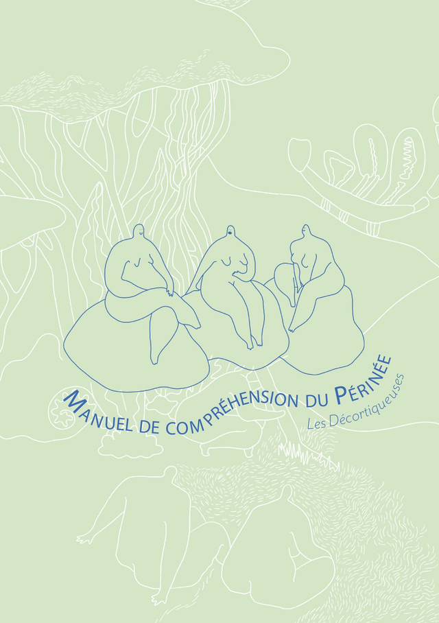 Manuel de compréhension du périnée