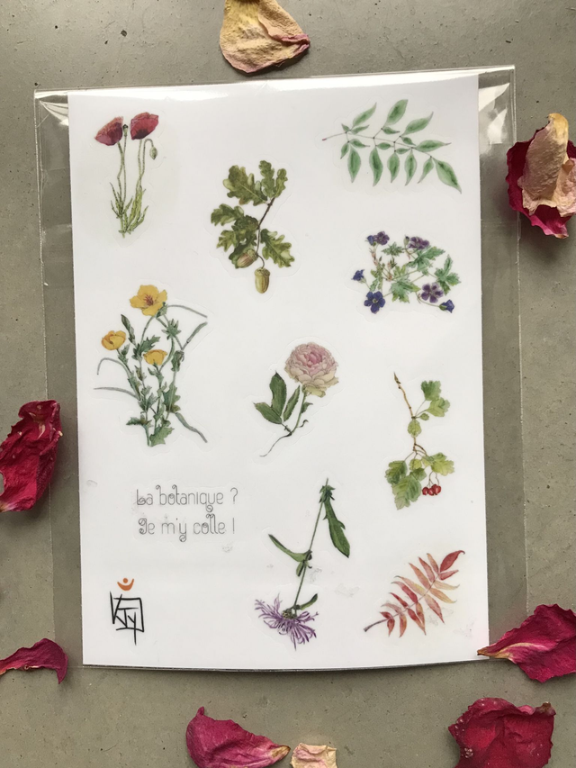 Planche de Stickers Botaniques