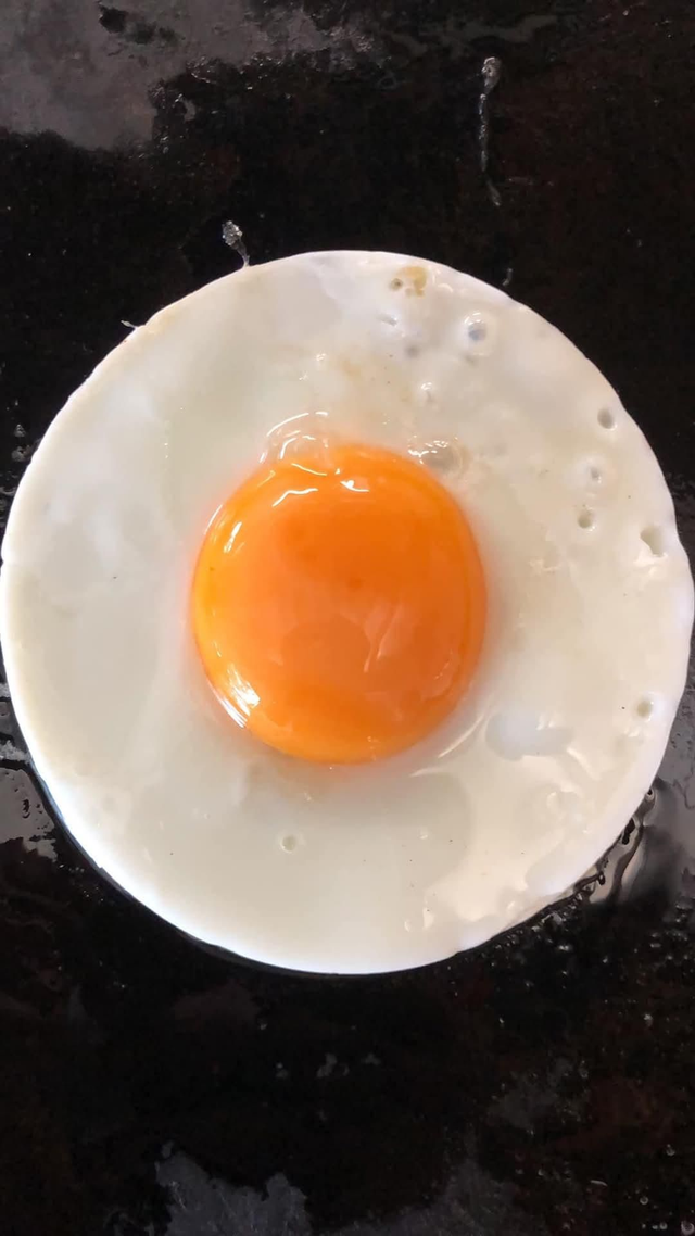 Egg