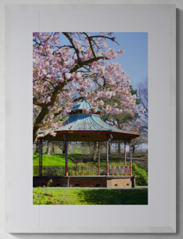 Bandstand is blooming - Print