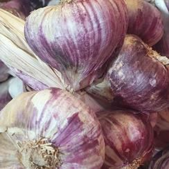 Ail Au Jardin : Achat Gousse D'Ail à Repiquer 500g Pas Cher