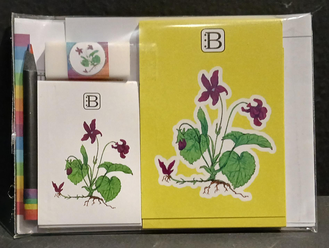 Leggi &amp; Colora - Kit Scrittura - I Fiori di Catia n. 2 - Violetta