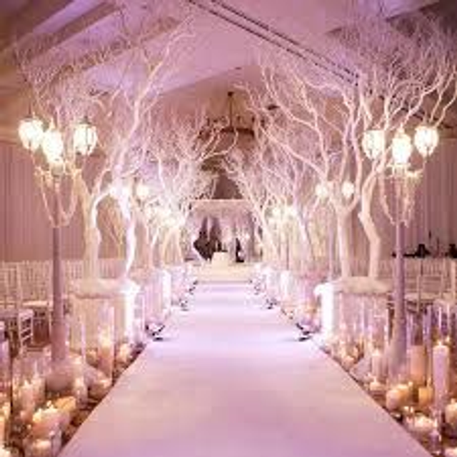 Décoration de la Salle de Réception