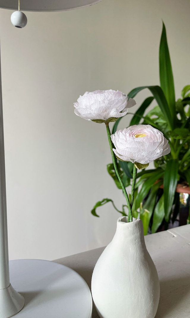 Renoncule "Enaé" avec son vase artisanal offert