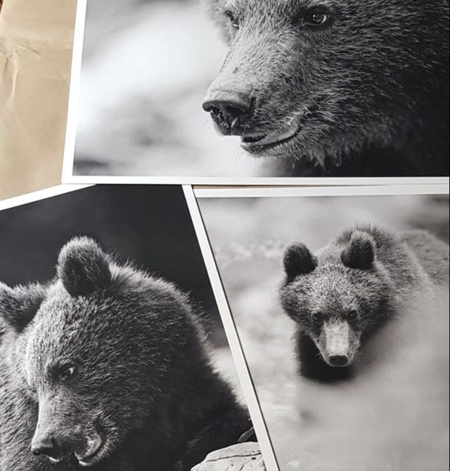 Tirages photos - Tarifs suivant choix