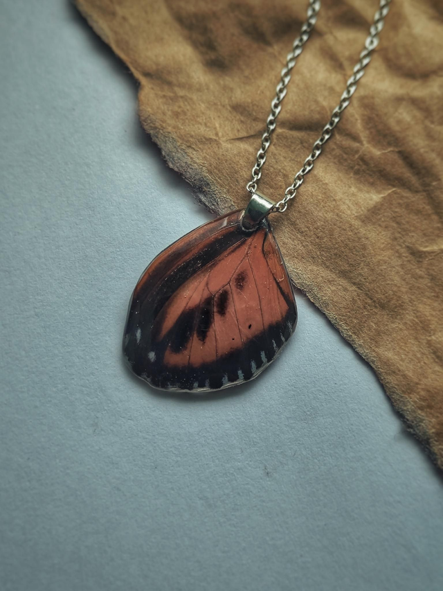 Butterfly Hind Wing Necklace
