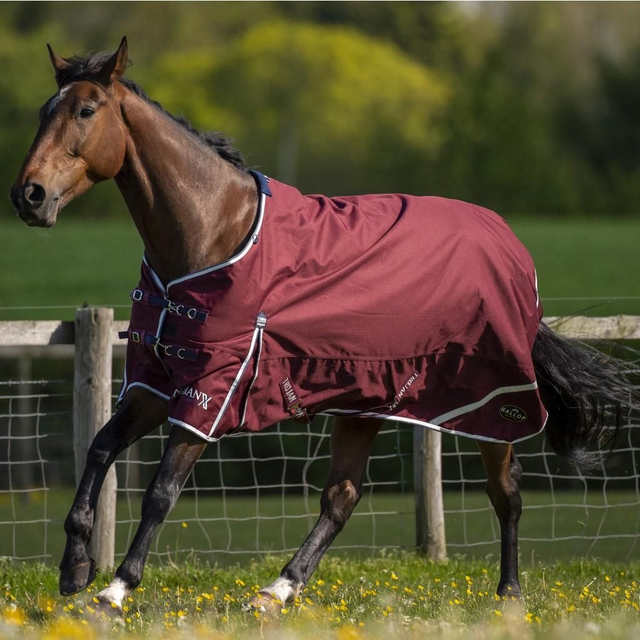 Gallop Trojan Xtra 50 Turnout Rug