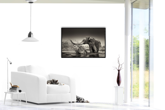 Tirage Dibond Black Ellies : Muddy argument