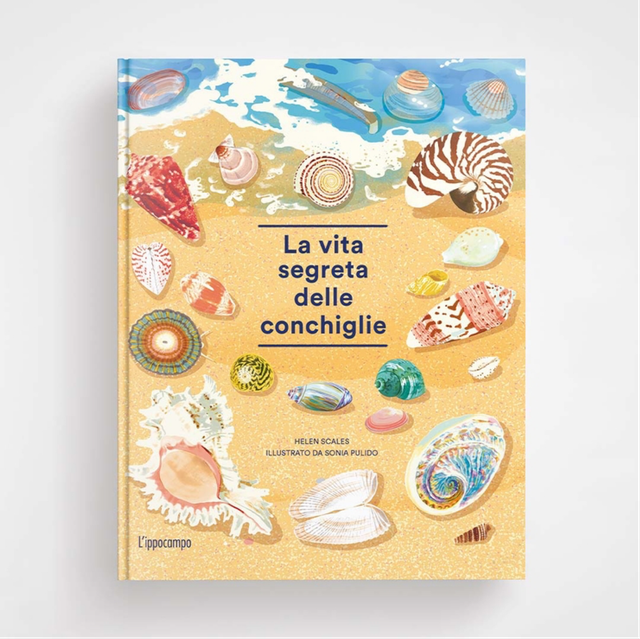 La Vita Segreta Delle Conchiglie