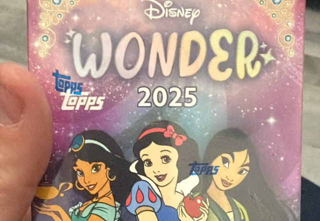 2025 Disney Wonder Blaster Box 