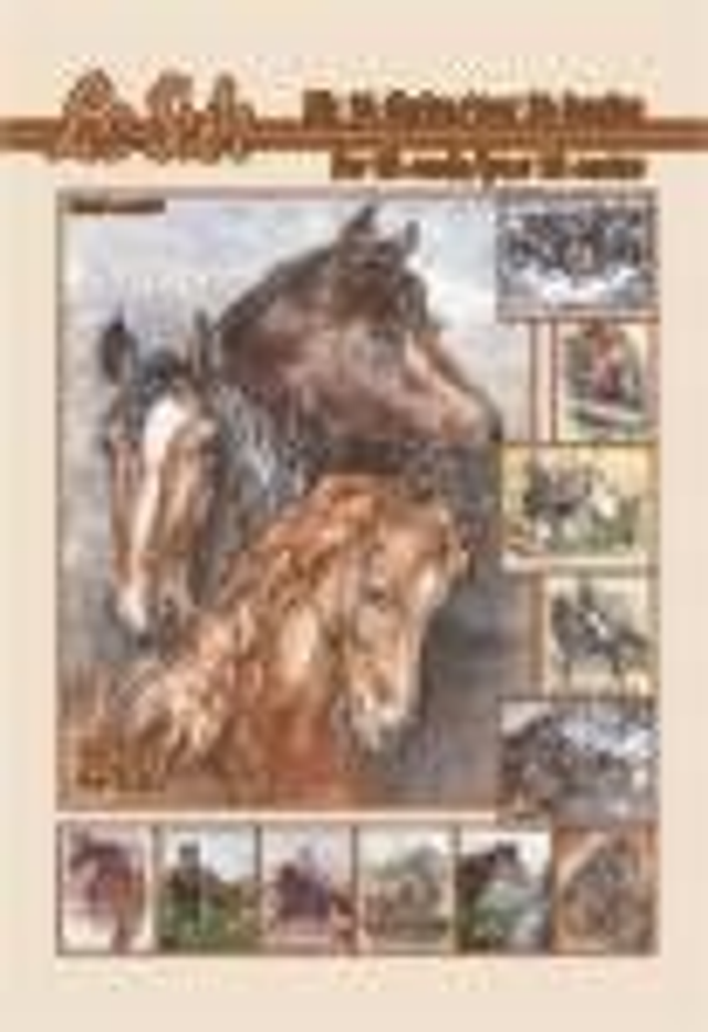 3D Boekje Paarden (345635)