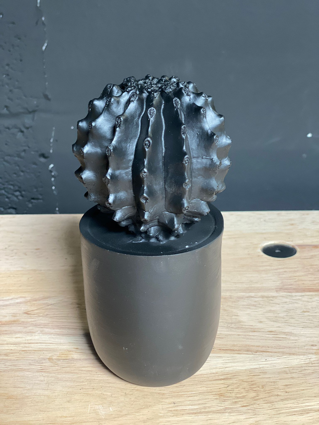 Décoration Cactus (Noir)