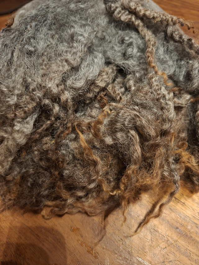 Gotland croisé 59g Boucles01107