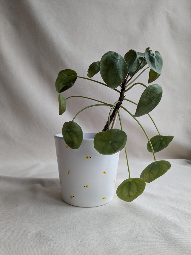 Cache-pot Capucine - fleurs jaunes