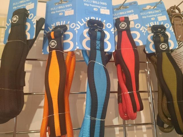 Bullybillows Slip Training Lead 1.2m