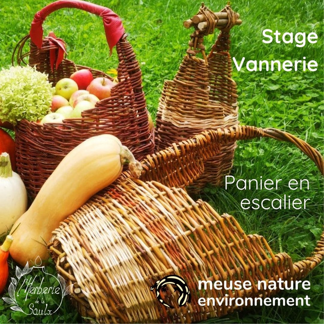 11/22 : Stage vannerie "panier en escalier" - dimanche 22 novembre
