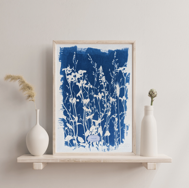 Cyanotype Poaceae (A4) - n°386 - sans cadre