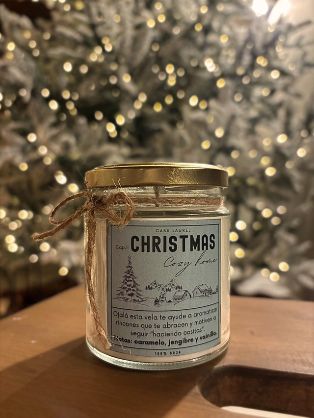 Cap.1: Christmas Cozy Home