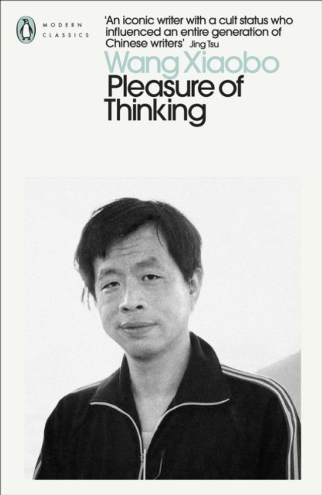 Pleasure of Thinking | Wang Xiaobo