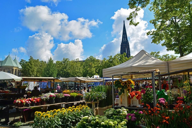 Blumen auf dem Wochenmarkt