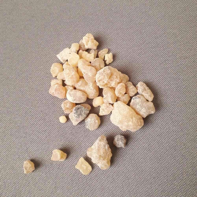Ethiopian Frankincense - BOSWELLIA PAPIRIFERA