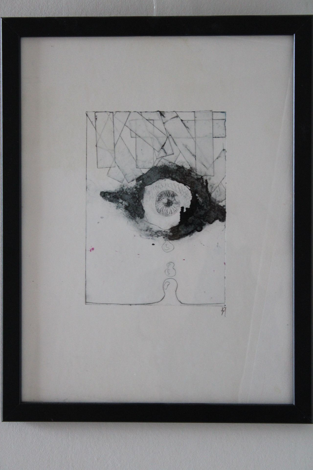 Oog origineel ingekaderd