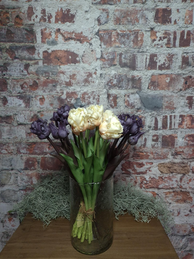 Parkiettulp paars