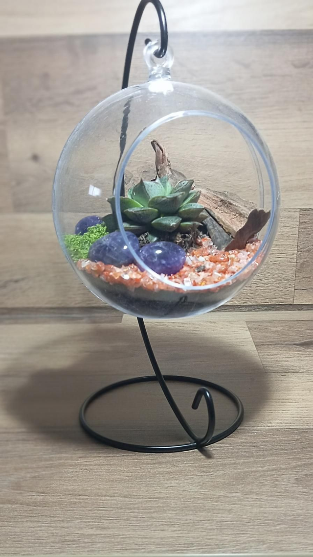 Énergie &amp; Sérénité en suspension ✨
Terrarium Améthyste &amp; Cornaline