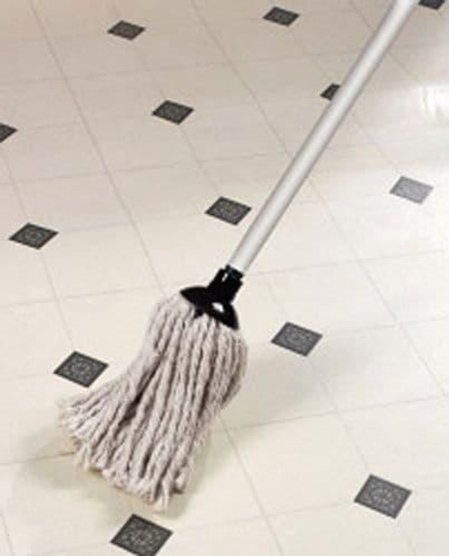 Floor cleaner 