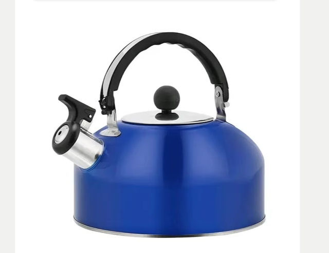 RVS Camping Waterkoker / Fluitketel (3 Liter)