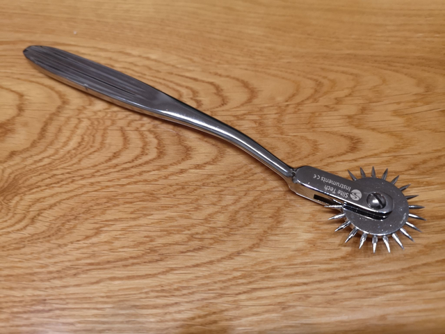 Nervenrad Nadelrad Wartenberg Pinwheel 1 Row Sensibilitätsrad Neuro Rad