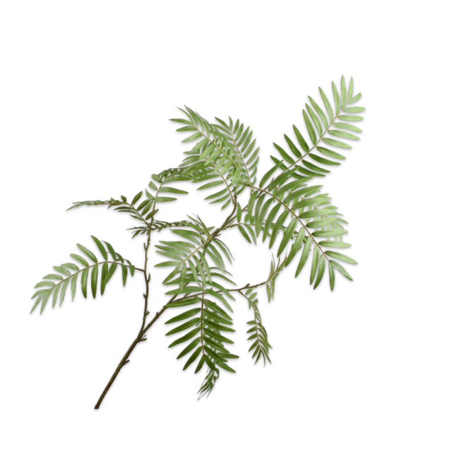 Silk-Ka Blad Tak Groen 138cm