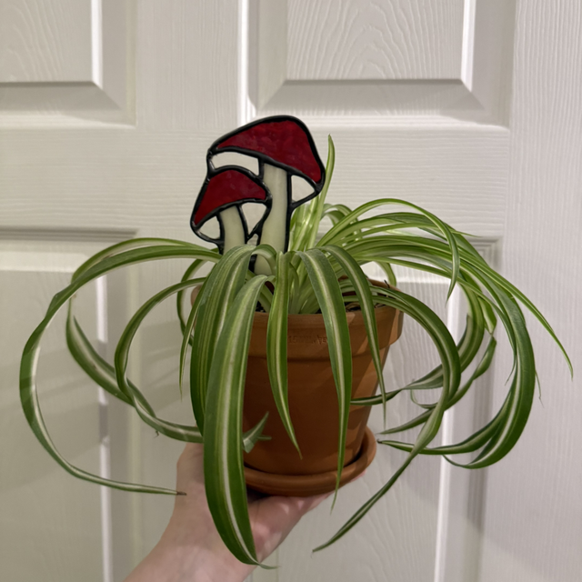 Made to Order - Double mushroom 