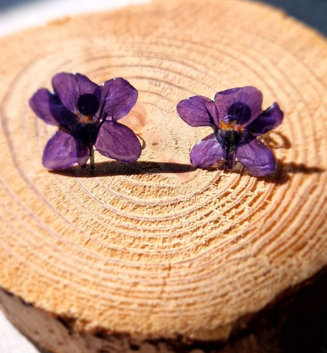 Boucles oreilles, clou avec véritables fleurs de violette