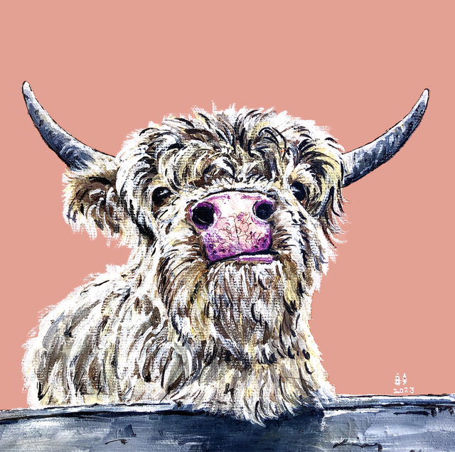 X4 Prints - Kenneth the Highland Coo 8"x8" (£7.50 per unit)