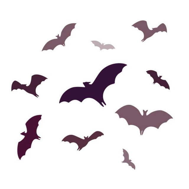 Boucles d&#039;oreilles Bat