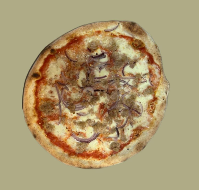 Art.021 Tonno cipolla 