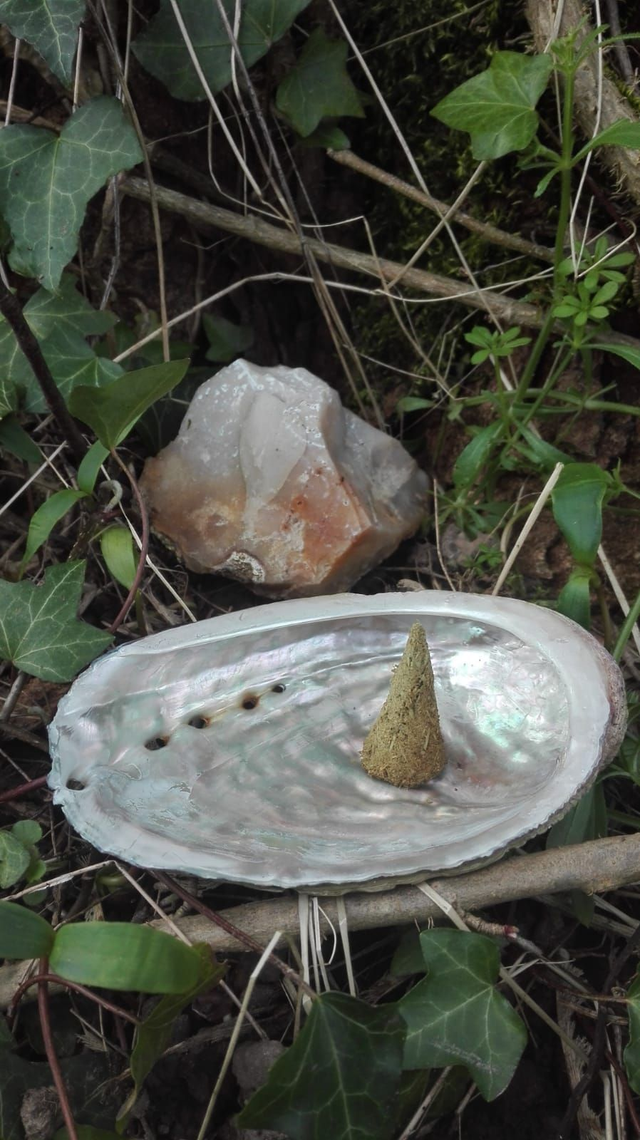 SPIRITUALITE- CONE de Fumigation Taille GM (&quot;Cône d&#039;encens&quot;) [3plantes] compatible avec les fontaines à encens