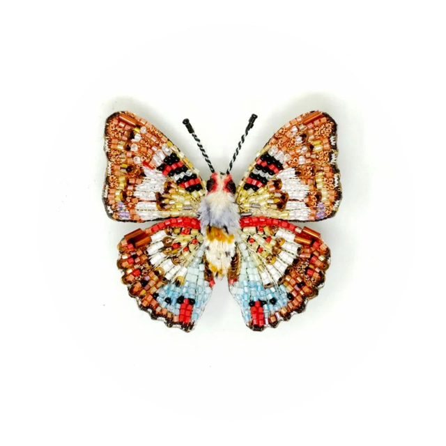 Papillon Lady Angola