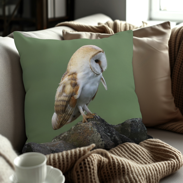 “Barn Owl” Cushion